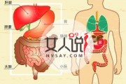 胃在哪个位置,左下腹部隐痛的原因
