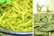 龙井茶有什么功效,龙井茶有什么功效视频
