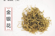 金银花泡水的作用与功效风寒感冒能吃羊肉吗的简单介绍