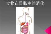 消化,消化不良的10大征兆 消化,消化不良的10大征兆