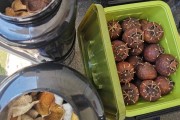 陈皮的做法图片大全陈皮的制作方法和步骤图片