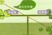 肠道有益菌是什么?? 肠道有益菌是什么??
