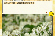 金银花的用途山银花和金银花哪个好