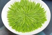 毛尖茶保质期一般多长时间毛尖茶