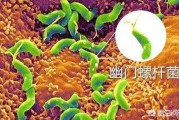 幽门螺杆菌是什么？