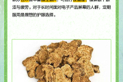 苍术的功效与作用,苍术的功效与作用图片 苍术的功效与作用,苍术的功效与作用图片