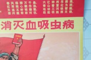 结肠血吸虫病血吸虫肠病 结肠血吸虫病血吸虫肠病