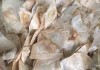 慢性咽炎：症状、原因、治疗、预防及中医独特治疗方法