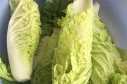 甲醛白菜图片甲醛白菜引起了市民的关注,有不少人称