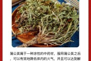 蒲地蓝消炎片和蒲公英颗粒的功效与作用蒲公英颗粒的功效与作用