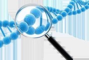 检测保健品成分去哪检测检测保健品