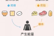 减肥吃多少,减肥一天吃多少热量 减肥吃多少,减肥一天吃多少热量