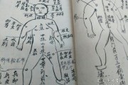 鬼门十三针的位置,鬼门十三针的位置图