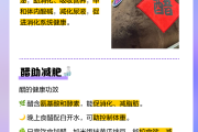 吃醋减肥不,吃醋减肥