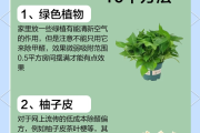 用什么办法解除甲醛解决甲醛的最好的办法是什么