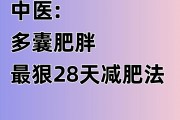 减肥调理,减肥调理身体挂什么科
