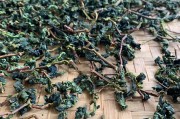 秋茶什么意思网络用语,秋茶什么梗