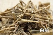 白前白前胡