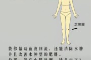 按摩减肥吗按摩减肥吗? 按摩减肥吗按摩减肥吗?