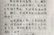 全国唯一满分作文写酒,全国唯一满分的作文 酒