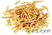 麦冬的功效与作用和主治什么病,麦冬的功效与作用和主治