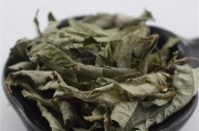蜀漆的别名,蜀漆 蜀漆的别名,蜀漆