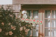 金银花露小说作品介绍在线阅读金银花露小说作品介绍