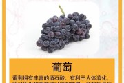 吃什么水果养胃又帮助消化不胀气,吃什么水果养胃又帮助消化