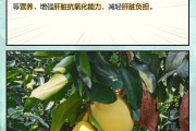 去肝火治失眠的中成药去肝火 去肝火治失眠的中成药去肝火