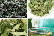 荷叶茶的功效与作用普洱决明子荷叶茶的功效与作用