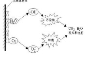 甲醛去除原理是什么样的呢甲醛去除的原理 甲醛去除原理是什么样的呢甲醛去除的原理