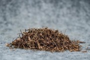 白花蛇舌草白花蛇舌草的功效与作用图片