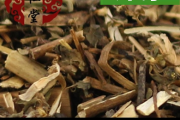 泽漆图片,泽漆 泽漆图片,泽漆