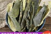 冬瓜皮的功效作用与主治冬瓜皮 冬瓜皮的功效作用与主治冬瓜皮