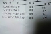 正常幽门螺杆菌数值为多少,正常幽门螺杆菌数值为多少碳13