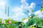 夏至养生,夏至养生汤的配方及功效