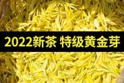 黄金芽属于什么茶黄金芽属于什么茶功效和作用