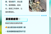 陈皮的功效与作用禁忌症有啥药,陈皮的功效与作用禁忌症有啥