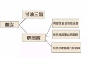 高密度脂蛋白偏低怎么改善,高密度脂蛋白