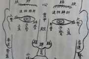 倪海厦谎话说了50年中医张孟超倪海厦