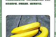 养胃水果最好吃哪些养胃水果 养胃水果最好吃哪些养胃水果
