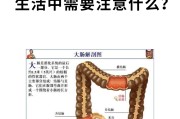 结肠炎的症状及治疗青少年结肠炎的症状及治疗