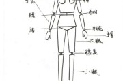 人体五官内脏结构图图人体结构 人体五官内脏结构图图人体结构