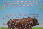 牛肉减肥的原理,牛肉减肥吗