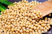 小龙虾暴发肠炎能喂没有煮熟的豆子吗？
