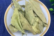 橘子叶,橘子叶发黄什么原因 橘子叶,橘子叶发黄什么原因