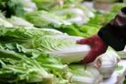 喷甲醛的白菜,甲醛喷在白菜上有什么危害