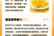 菊花茶的功效与作用及禁忌菊花茶的功效与作用