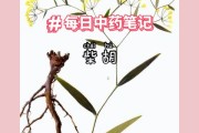 柴胡什么功效,柴功效 柴胡什么功效,柴功效