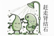 泌尿系统结石泌尿系统结石图片 泌尿系统结石泌尿系统结石图片